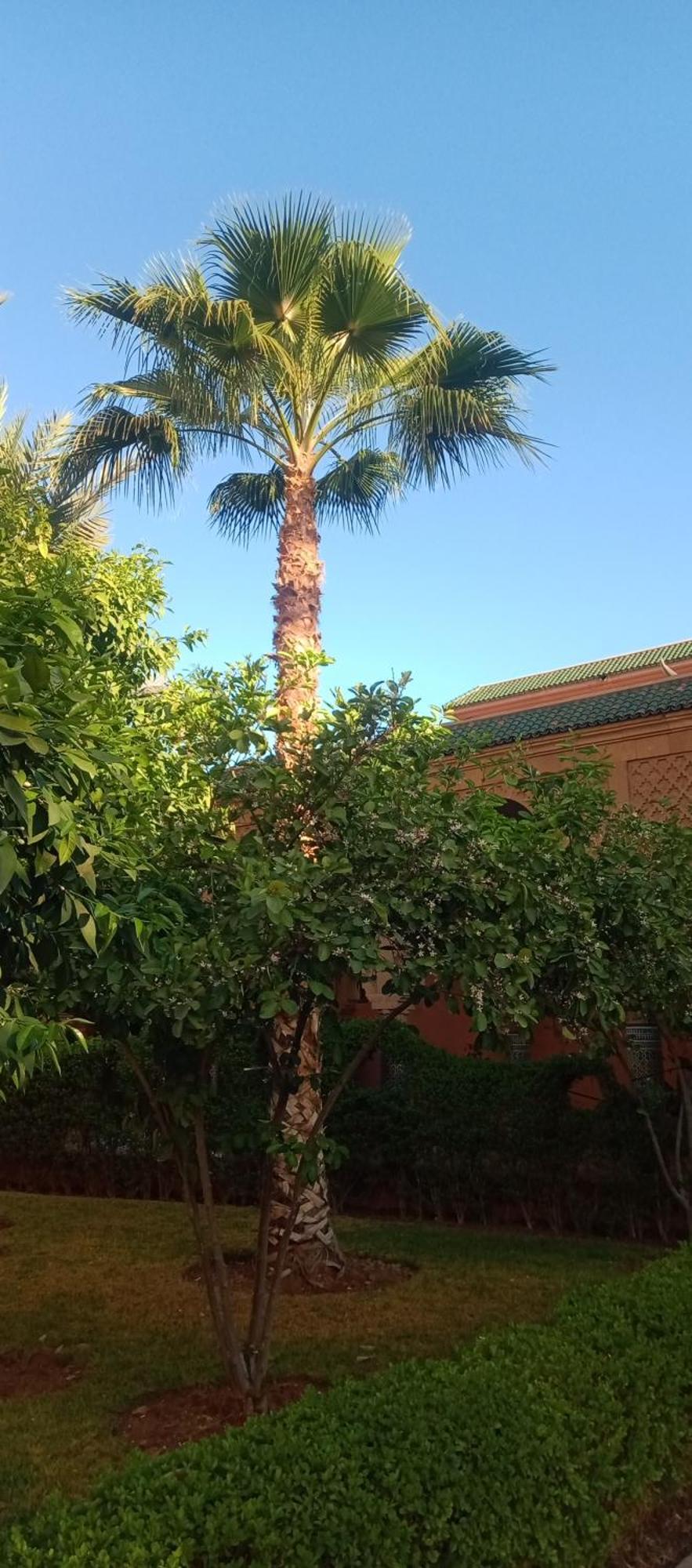Riad Al-Bushra Маракеш Екстериор снимка